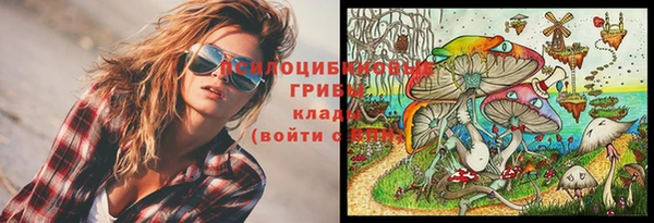 PSILOCYBIN Алексин