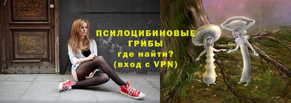 PSILOCYBIN Алексин
