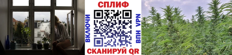 Бошки Шишки SATIVA & INDICA  дарнет шоп  Новотитаровская 
